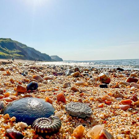 Charmouth Lodge Bridport Buitenkant foto