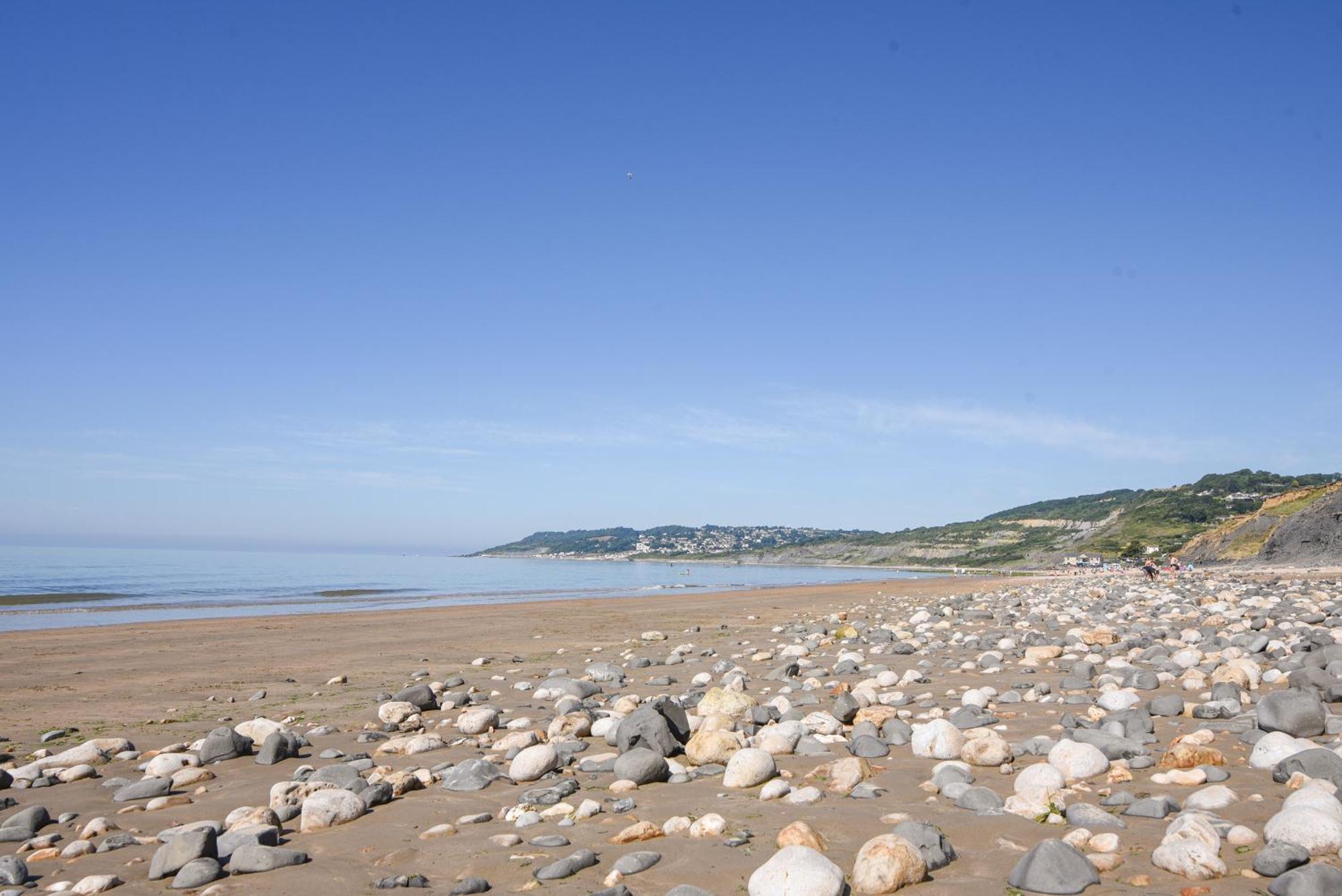 Charmouth Lodge Bridport Buitenkant foto