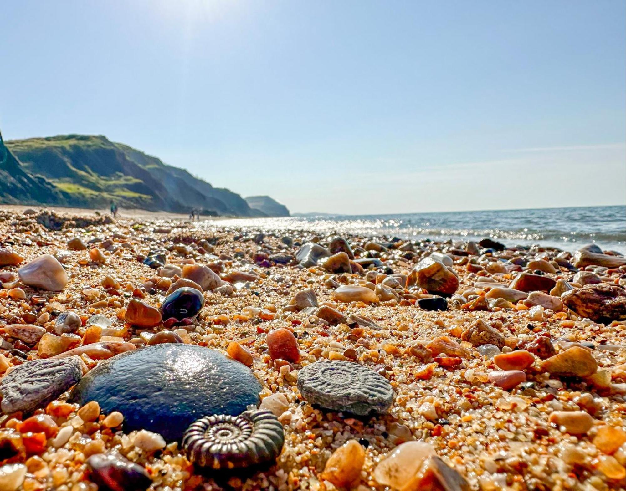 Charmouth Lodge Bridport Buitenkant foto